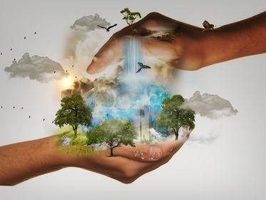nature conservation 480985