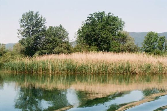 SL FP Gewasser Aare bei Altreu