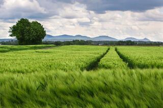 Landwirtschaft resilient und
