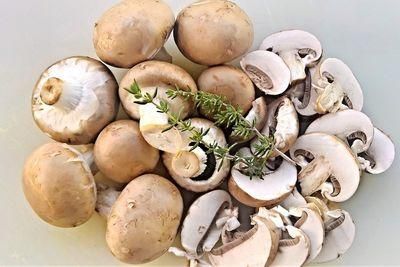 mushrooms 4510369