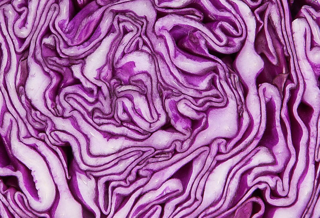 Rotkabis: Wintergemüse mit Farbenkraft