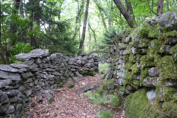 landschaftsschutz