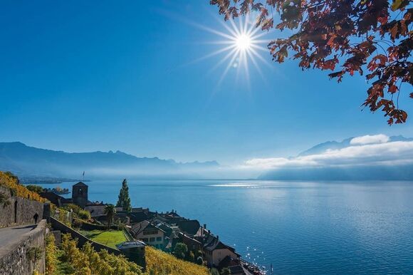 lavaux kanton