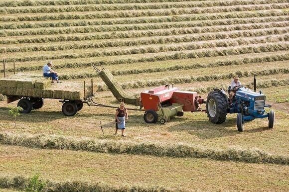 agriculture 5157183