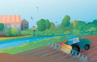 Pestizide Auswirkungen auf Umwelt