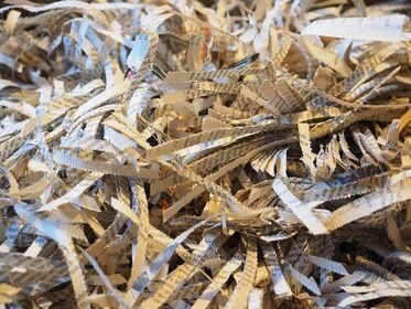shredder 779853