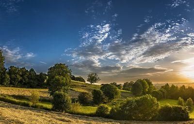 panorama