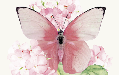 farfalla