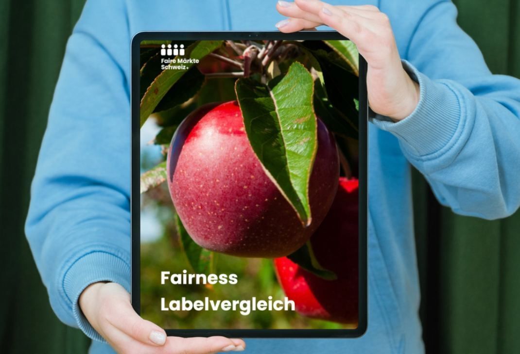 Labels im Test: Ein Drittel fällt bei Fairness durch