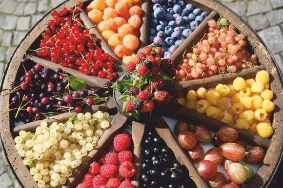 bio marche beerenrad