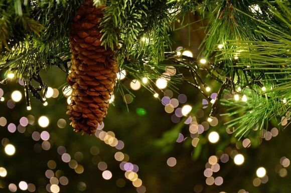 Weihnachtsmarkt Ethikhof