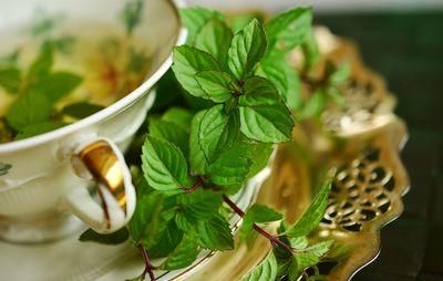 peppermint 2815679